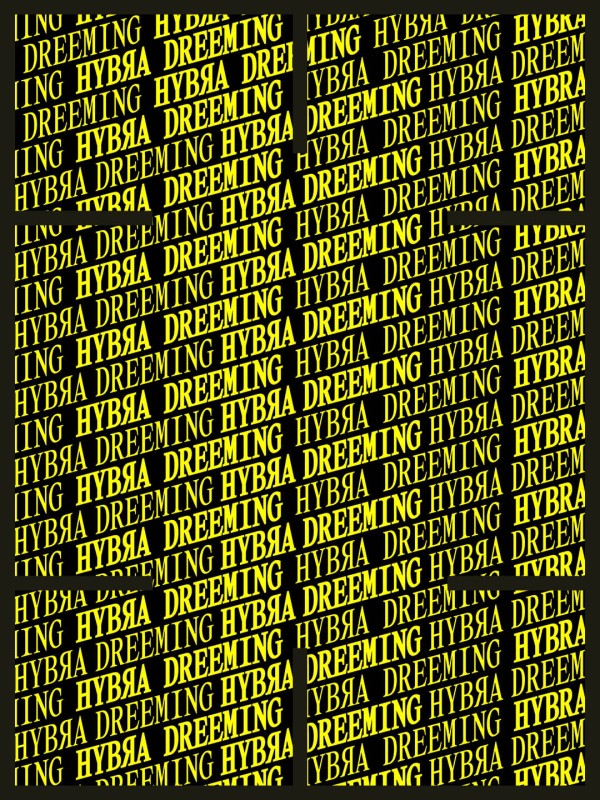 HYBЯA DREEMING live